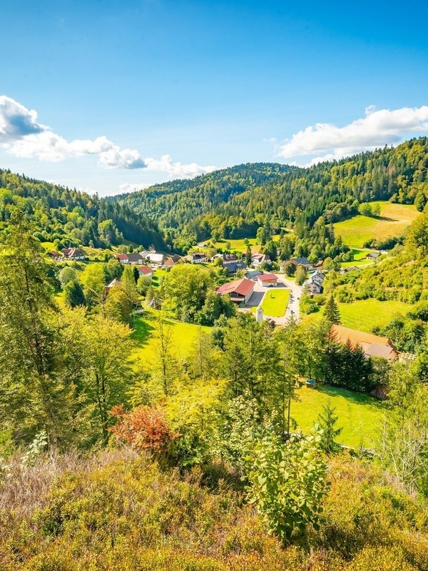 Mountainbiken in Todtmoos durch den Wald